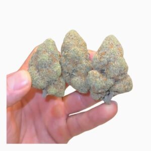 your paragraph textl